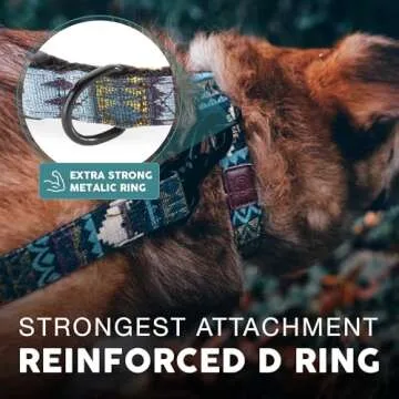 Embark Urban Dog Collar – Stylish & Durable Nylon Dog Collars for Small Dogs, Comfortable Pet Collar, Small Dog Collars for Male & Female Dogs with Strong Buckles. Adjustable Small Dog Collars