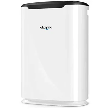 Okaysou AirMax8L 5-in-1 Large Room Air Purifier for Home, True HEPA Filter, Air Cleaner for Smokers,...