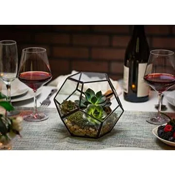 KooK Glass Terrarium for Plants and Candles, Stylish Decor