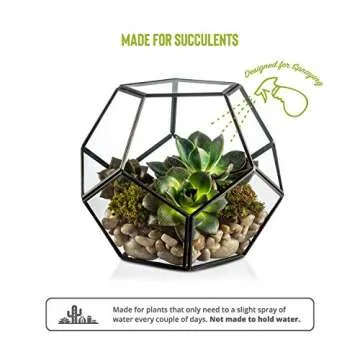 KooK Glass Terrarium for Plants and Candles, Stylish Decor