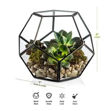 KooK Glass Terrarium for Plants and Candles, Stylish Decor