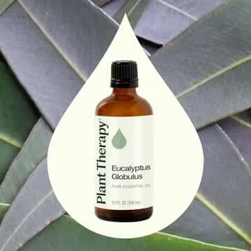 Plant Therapy Eucalyptus Globulus Essential Oil 100 mL (3.3 oz) for Diffuser, Skin, Hair, Aromatherapy DIYs, and Clear Breathing, 100% Pure, Undiluted, Therapeutic Grade