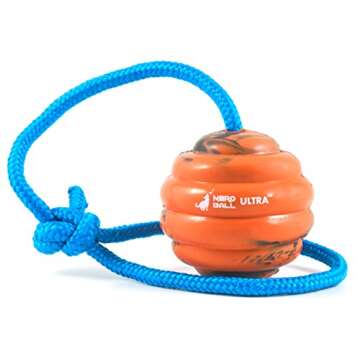 Nero Ball Pro Dog Training Ball on a Rope