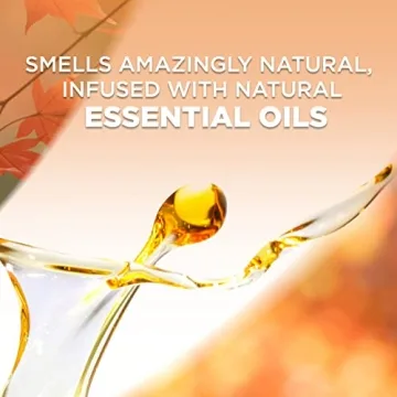 Air Wick Brown Sugar & Vanilla Oil Refill 5 Ct