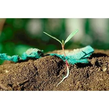 BLOOMIN' FLOWER CARDS Seed Paper Earth Shapes 100 Pack