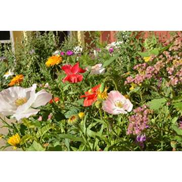 BLOOMIN' FLOWER CARDS Seed Paper Earth Shapes 100 Pack