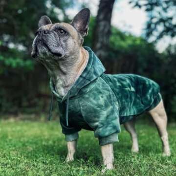 Spark Paws Dog Hoodie - Premium Quality, Buttery Soft, Superior Comfort and Fit, Calming Fleece Interior, Suitable for All Breeds -Green Skydye, 4XL