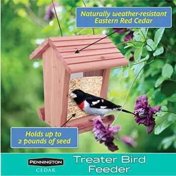 Pennington Cedar Treater Bird Feeder, Attract Nature's Beauty