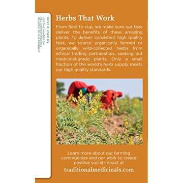 Organic Ginger Aid Tea for Healthy Digestion, 32 Count