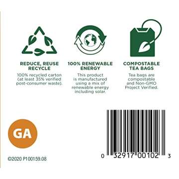 Organic Ginger Aid Tea for Healthy Digestion, 32 Count