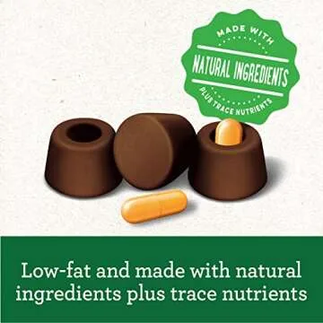 Greenies Pill Pockets for Dogs - Hickory Smoke Flavor, 60 Treats