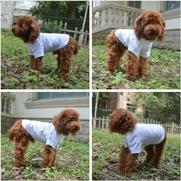 Lovelonglong Premium Dog T-Shirts for Large Breeds