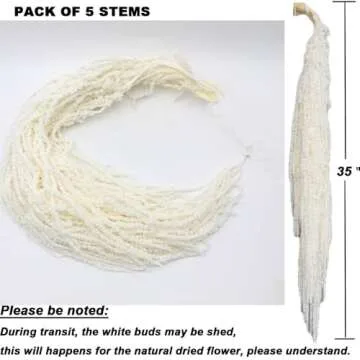 Dried Amaranthus Flowers - White Hanging Decor 35 Inches