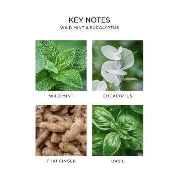 NEST Classic Candle - Wild Mint & Eucalyptus, Clean Burn