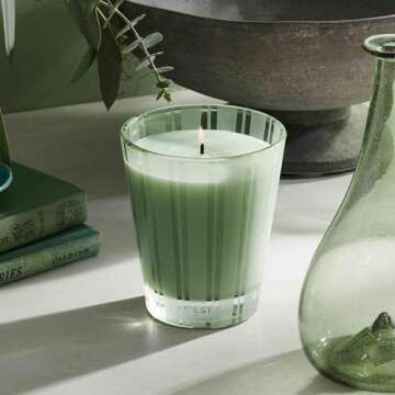 NEST Classic Candle - Wild Mint & Eucalyptus, Clean Burn
