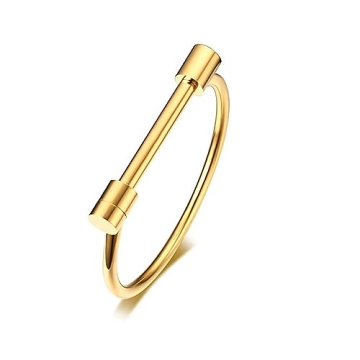 AILUOR Stainless Steel D Shape Bar Screw Shackle Bangle Bracelet - Unisex Fashion Jewelry in Gold