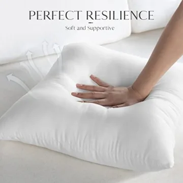 Ashler Waterproof Pillow Inserts Set of 4 for Outdoor Use
