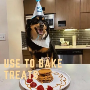 Natural Peanut Butter for Dogs USA Made Buddy Budder