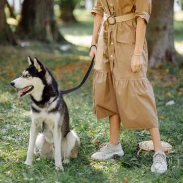 Baby Stroller Wheelchair Safety Wrist Strap or Large Dog Leash, Second Layer Security for Retractable Dog Leash, Black with Blue Stitching