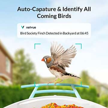 NETVUE Birdfy AI Smart Bird Feeder with Camera + Solar Panel