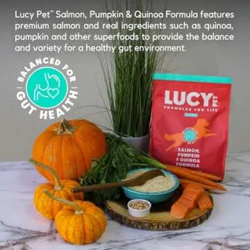 Lucy Pet Formulas for Life Salmon, Pumpkin, & Quinoa Dry Dog Food, All Life Stages, Digestive Health, Sensitive Stomach & Skin, 4.5lb bag