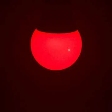 Revive 670nm Red Light Bulb Sleep Therapy by Gamma