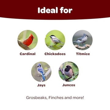 Kaytee Songbird Wild Bird Seed for Colorful Backyard Birds