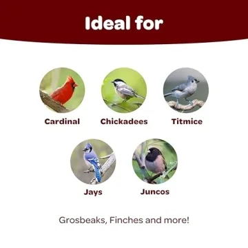 Kaytee Songbird Wild Bird Seed for Colorful Backyard Birds