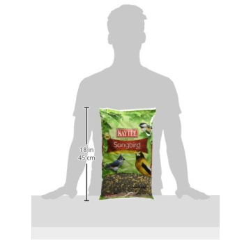 Kaytee Songbird Wild Bird Seed for Colorful Backyard Birds