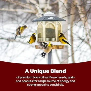 Kaytee Songbird Wild Bird Seed for Colorful Backyard Birds