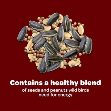 Kaytee Songbird Wild Bird Seed for Colorful Backyard Birds