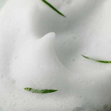 SOME BY MI AHA BHA PHA 30 Days Miracle Acne Clear Foam - 3.38Oz, 100ml - Made from Tea Tree Leaf for Acne Prone Skin - Daily Acne Face Wash for Removing Sebum and Dead Cells - Korean Skin Care