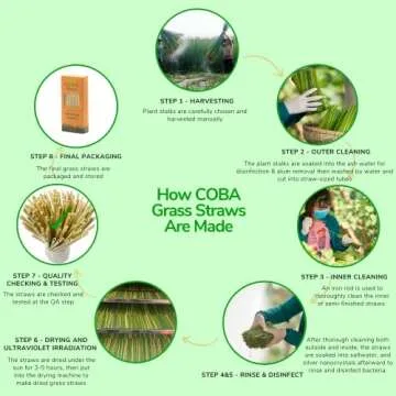 COBA Grass Straws – 100% Natural Eco-Friendly Straws