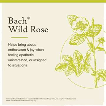 Bach Original Flower Remedies, Wild Rose for Enthusiasm, Natural Homeopathic Flower Essence, Holistic Wellness and Stress Relief, Vegan, 20mL Dropper