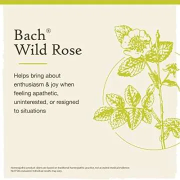 Bach Original Flower Remedies, Wild Rose for Enthusiasm, Natural Homeopathic Flower Essence, Holistic Wellness and Stress Relief, Vegan, 20mL Dropper