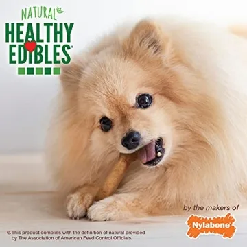 Nylabone Healthy Edibles Chews for Small Dogs