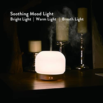 ZEIGGA LAB Essential Oil Diffuser 280ml with Timers