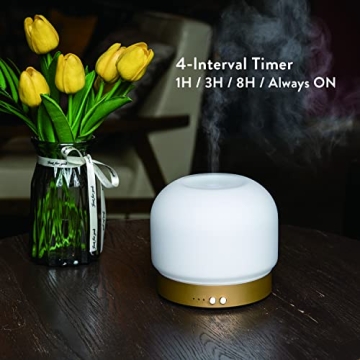 ZEIGGA LAB Essential Oil Diffuser 280ml with Timers