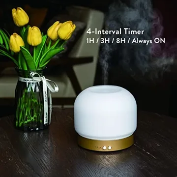 ZEIGGA LAB Essential Oil Diffuser 280ml with Timers