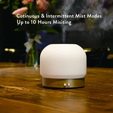 ZEIGGA LAB Essential Oil Diffuser 280ml with Timers