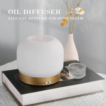 ZEIGGA LAB Essential Oil Diffuser 280ml with Timers
