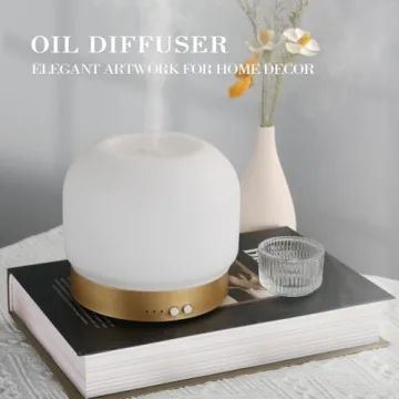 ZEIGGA LAB Essential Oil Diffuser 280ml with Timers