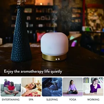 ZEIGGA LAB Essential Oil Diffuser 280ml with Timers