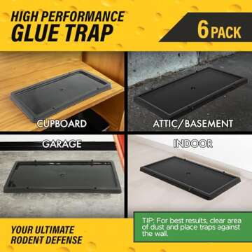 Non-Toxic Glue Traps for Mice & Insects - Ready to Use