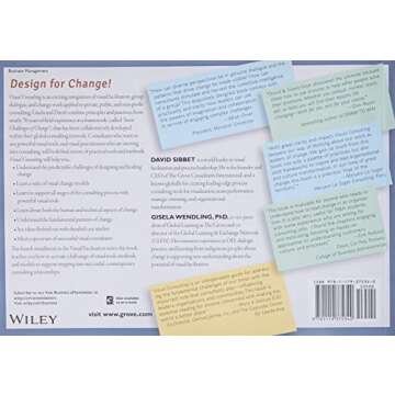 Visual Consulting: Designing and Leading Change