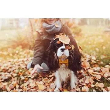 Maca Bates Fall Dog Collar with Bow Tie Soft Cotton Pumpkin Plaid Dogs Collars with Bowtie Checkered Halloween Thanksgiving Day Adjustable Puppy Colar for Small Medium Large Girl Boy Male Female Pet