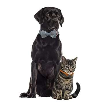 Maca Bates Fall Dog Collar with Bow Tie Soft Cotton Pumpkin Plaid Dogs Collars with Bowtie Checkered Halloween Thanksgiving Day Adjustable Puppy Colar for Small Medium Large Girl Boy Male Female Pet