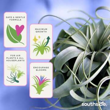 Air Plant Fertilizing Spray by Southside Plants - Fertilizer Mist for Houseplants, Weekly Plant Food - Gentle Mist Formula for Miracle Feed & Grow - 8 oz