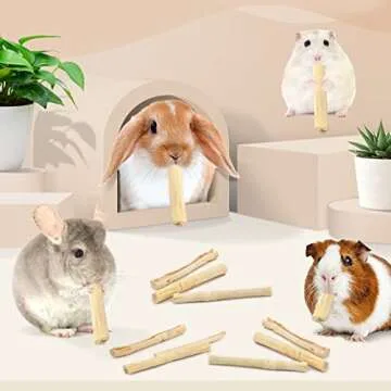 Bissap Sweet Bamboo Chew Sticks for Small Animals 145g