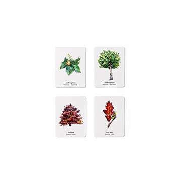 Match a Leaf: A Tree Memory Game